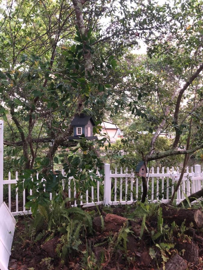 Cozy Cottage River House Weeki Wachee Luaran gambar